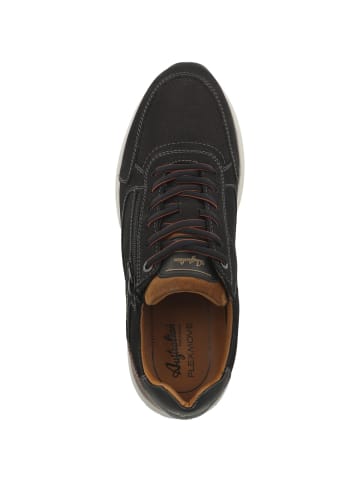 Sneaker low Discover in schwarz