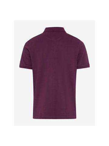 Polo in summer grape