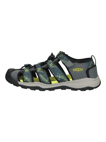 Wanderschuhe Blau/Grau