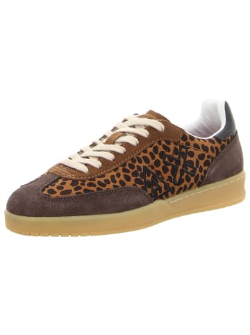 Sneaker Low in braun