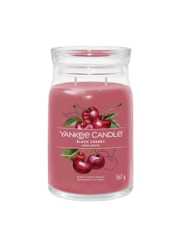 Candle Signature Duftkerze große Kerze mit langer Brenndauer Black Cherry