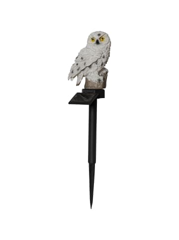 Solar Wegeleuchte Owl in Braun