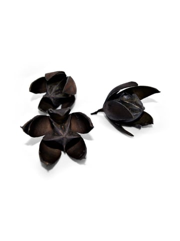 3er Set getrocknete Wildlilien in schwarz