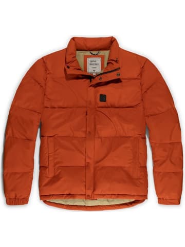 Steppjacke in Orange