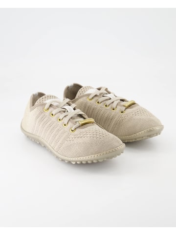 Sneaker low in Gold