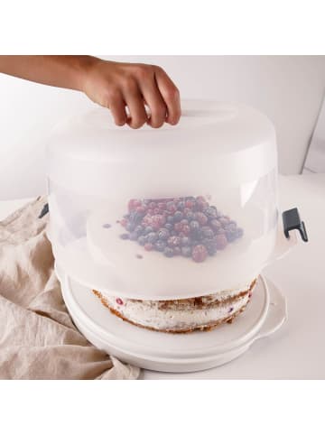 Kuchentransportbox BAKE & GO inklusive Kühl Akkus,  Ø 38 x 19 cm