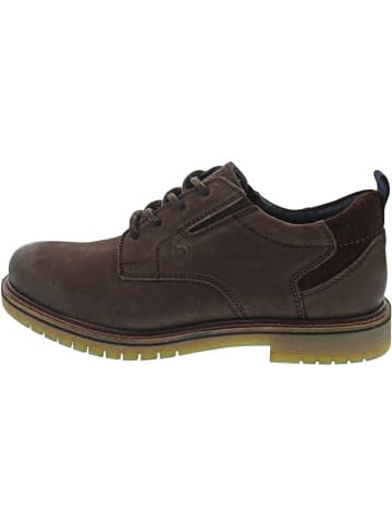 Barton Evo Business Schuh Braun