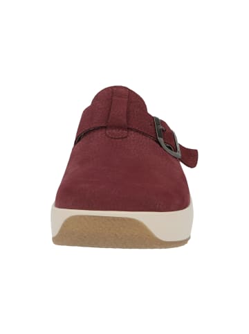 Clogs Dianna in bordeaux