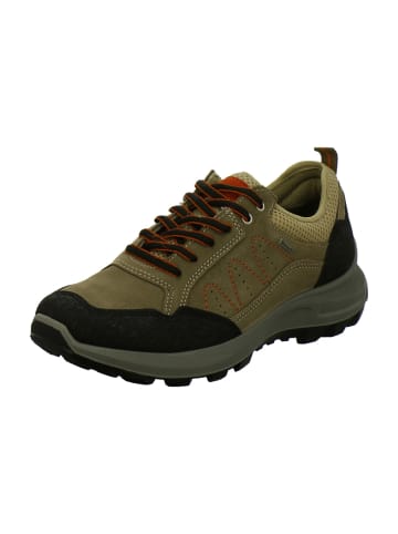 Wanderhalbschuhe in Braun
