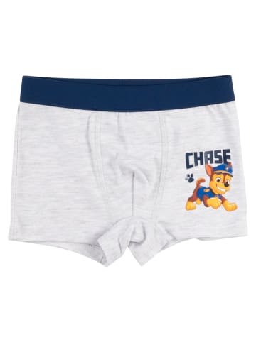 4er Pack Paw Patrol Boxershorts Unterwäsche Unterhose Boxer in blau/grau