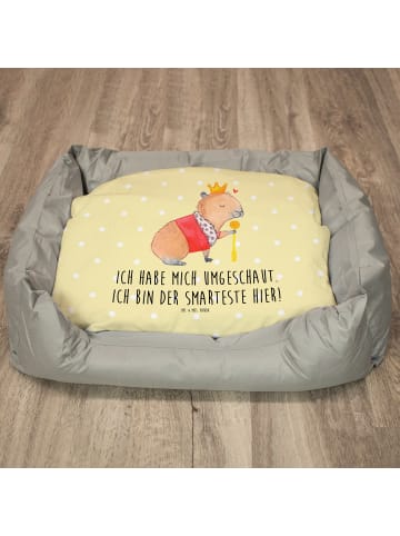 Katzenbett Capybara König mit Spruch in Gelb Pastell