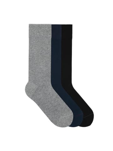 Socken Signature Classics Bundle in Heather Grey/Dark Navy/Pitch Black