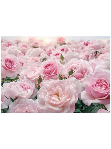Fototapete Blumen in Rosa