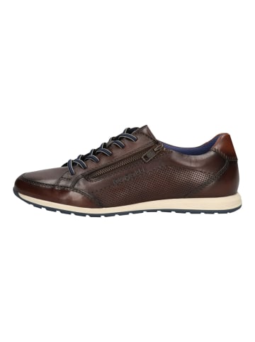 Sneaker Sneaker in braun