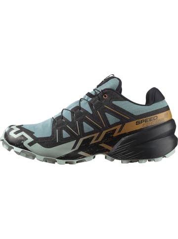 Trailrunning-Schuh SPEEDCROSS 6 GTX in trooper/black/wood thrush