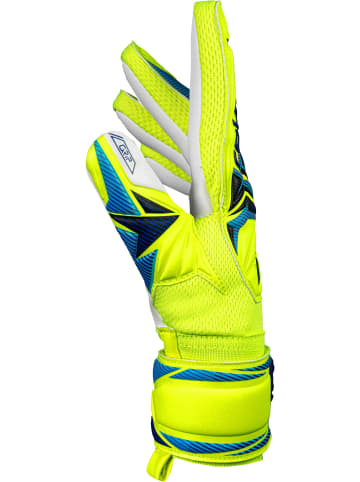Torwarthandschuhe Attrakt Grip Junior in 2005 safe yellw/sharp blue