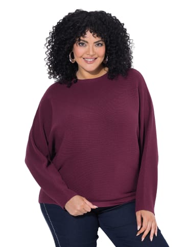 Pullover in weinrot
