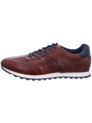 Sneaker Low in braun