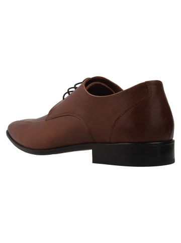 Business-Schuhe  in Braun