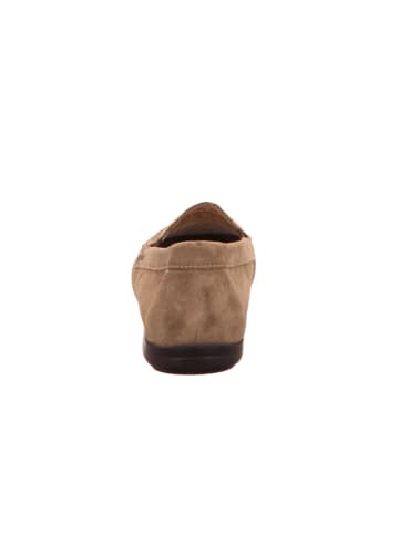 Slipper Giumelo in bosco