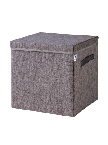 Aufbewahrungsbox mit Deckel Grau, 33 x 33 x 33 cm