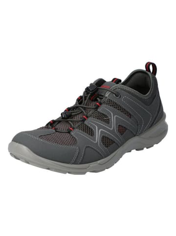 Sneakers Terracruise Lt M in dark shadow