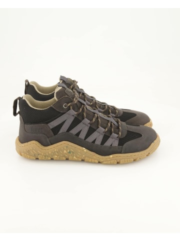 Barfußschuhe in Blau