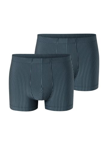 Trunk Pure Micro in blaugrau