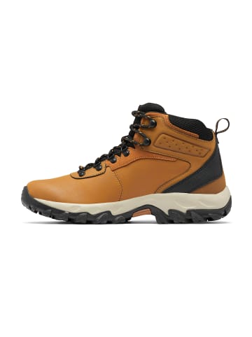 Sneakers High NEWTON RIDGE PLUS II WATERPROOF in braun