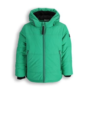 Winterjacke in grün