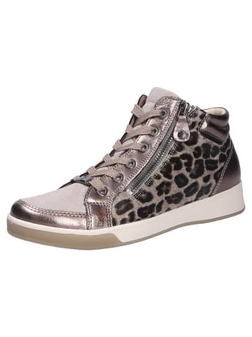 Schnürschuh ROM