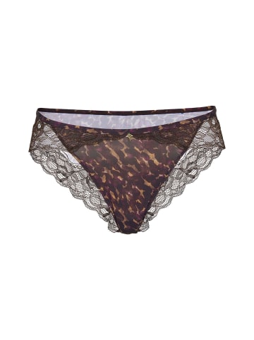 Panty Intimate Apparel in Dark Brown