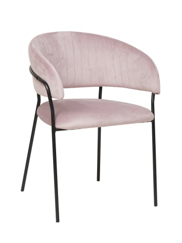 Esszimmerstuhl mit Längssteppung Samt und Metallgestell schwarz matt in  Rose