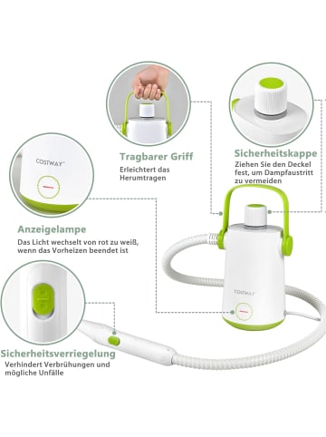Dampfreiniger 1000W inkl. 10 Zubehör in Grün