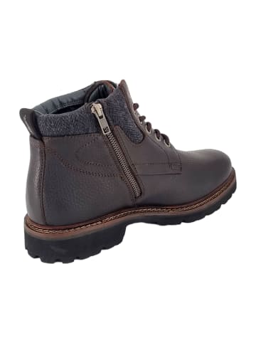 Schnürstiefeletten in Braun