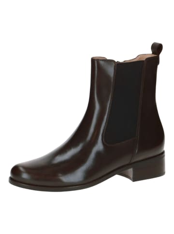 Stiefelette Dunkelbraun