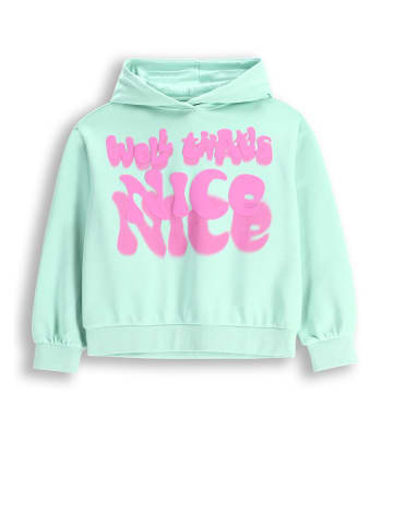 Sweatshirt in in Minzfarbe