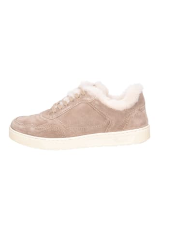 Sneaker Low in braun
