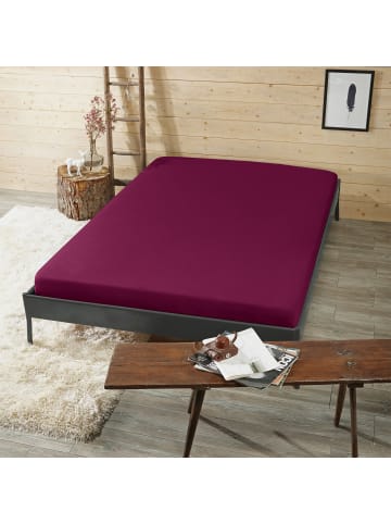 Interlock-Jersey Spannbettlaken Memmingen in bordeaux