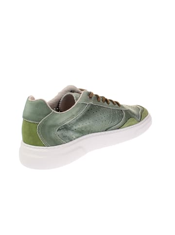 Sneaker low MROCHEDO  in Grün