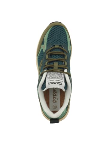 Sneaker low G-Eco`99 Multi Colour in dunkelgruen