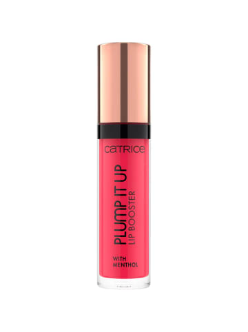 Plumpendes Gloss Plump It Up Lip Booster - 90 Potentially Scandalous 3.5 ml