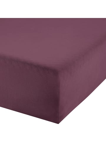 Single-Jersey Boxspring-Spannbettlaken Denver in aubergine