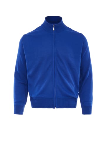 Herren Cardigan in Blau