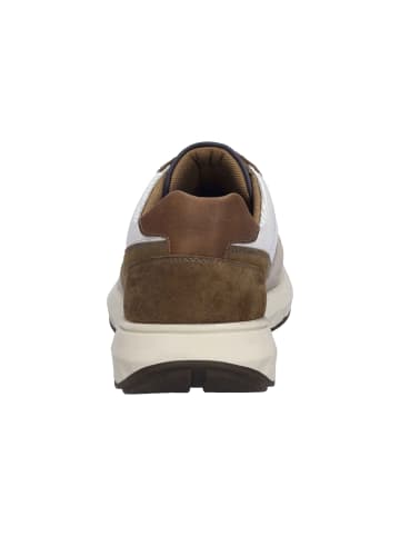 Sneaker in Mehrfarbig