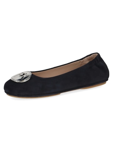 Ballerinas in Blau