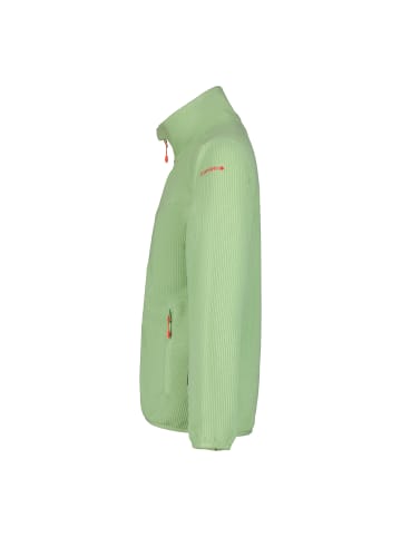 Fleecejacke Kimball Jr in Grün