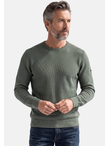 Pullover Basic in Dunkelgrün