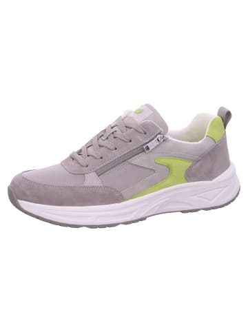 Sneaker H-Jack in Grau