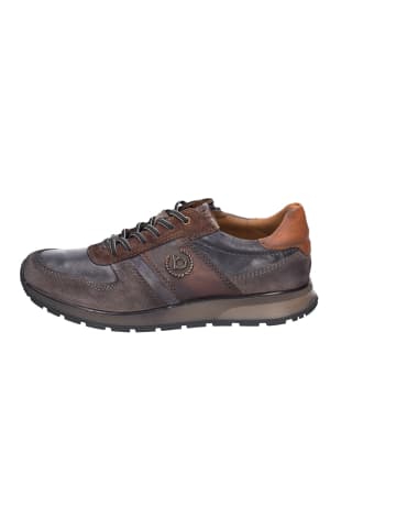 Sneaker Low in grau